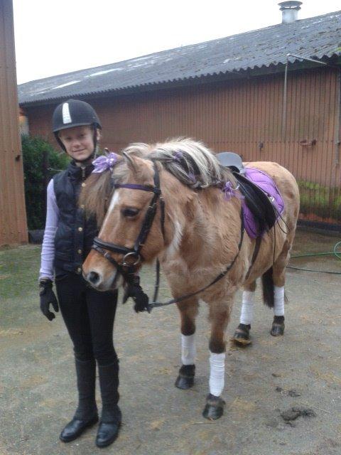 Anden særlig race Freja (mit et og alt)<3 - Fra mit første stævne med Freja!<3 billede 7