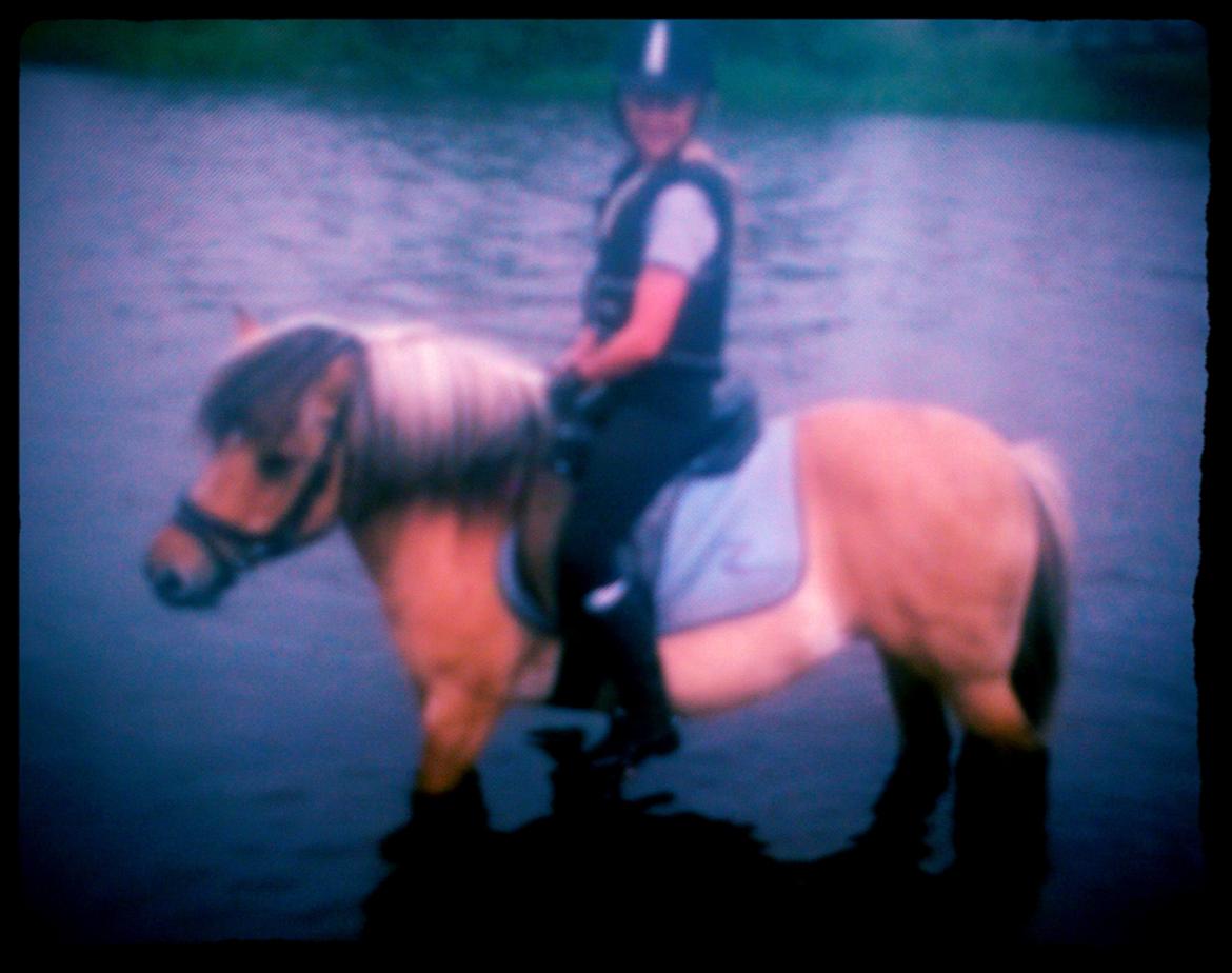 Anden særlig race Freja (mit et og alt)<3 - Freja ved Skjern Å, sommeren 2015<3 billede 11