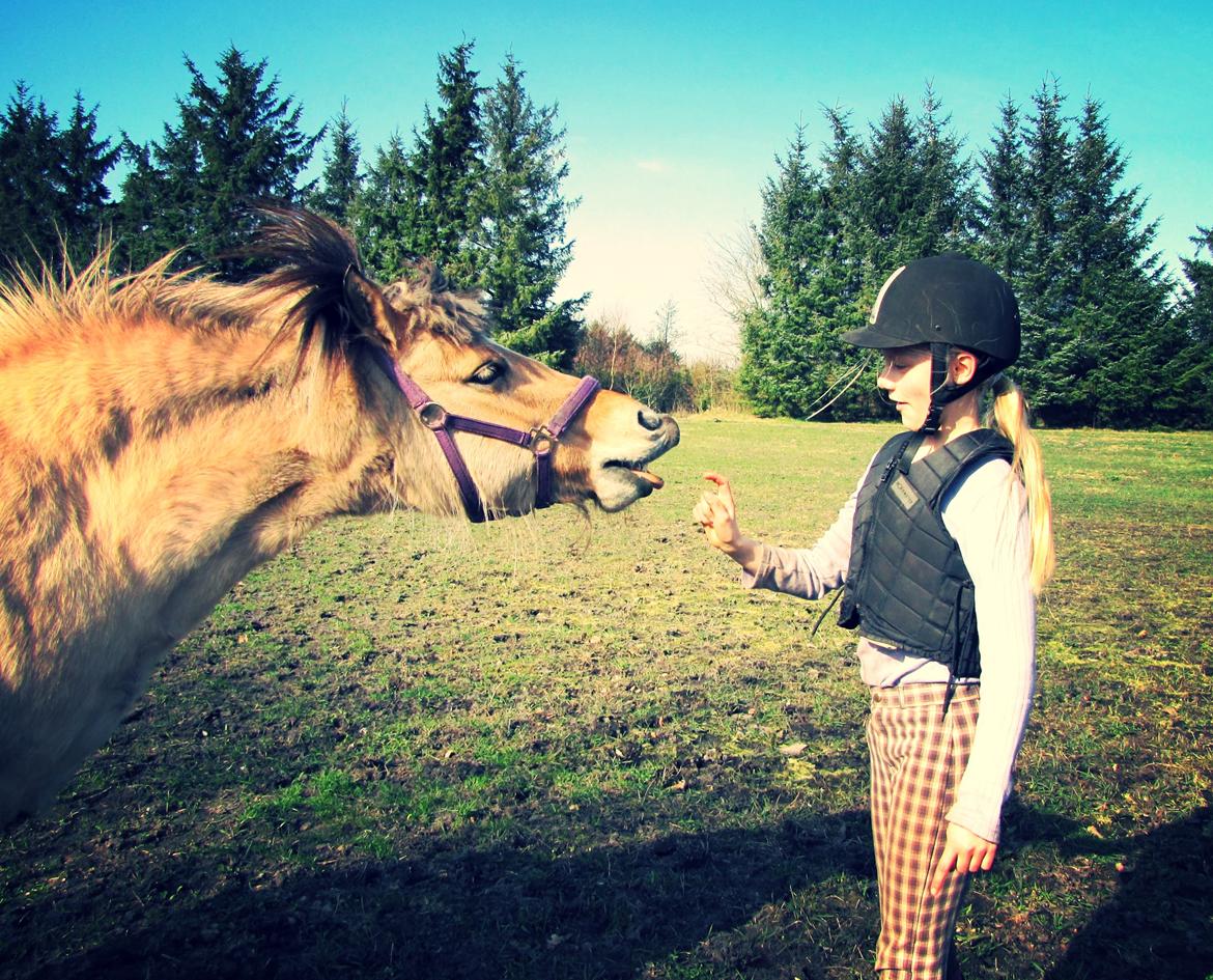 Anden særlig race Freja (mit et og alt)<3 - rækker tunge og smiler. hun har altid været en sød lille bandit:-D billede 16