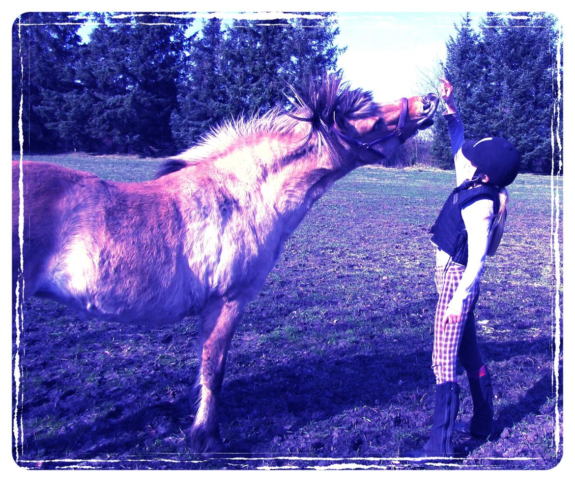 Anden særlig race Freja (mit et og alt)<3 - smiiiiil:-) billede 15