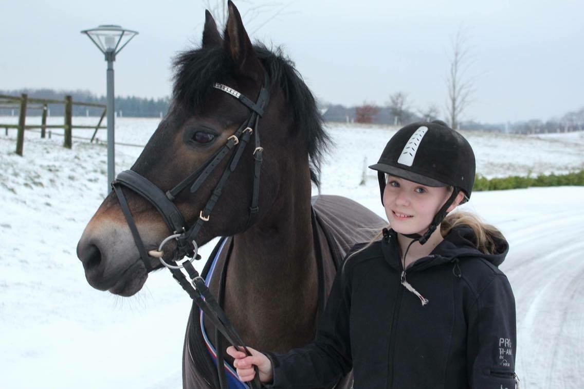 New Forest Birkilds Tara billede 3