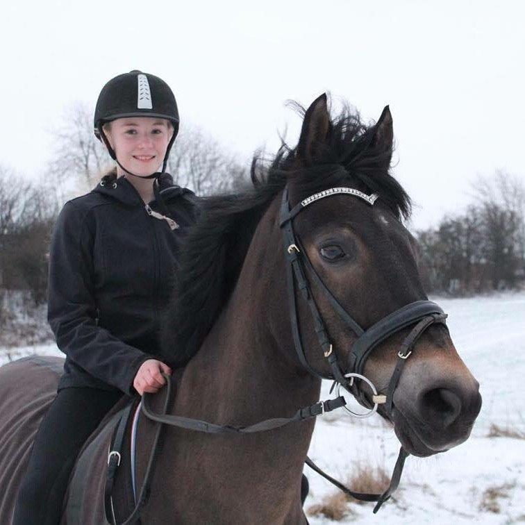 New Forest Birkilds Tara billede 5