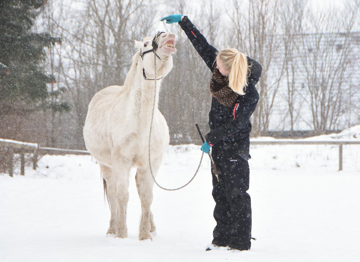 Anden særlig race Peter Plys - Januar 2016 | Foto af Maiken billede 6