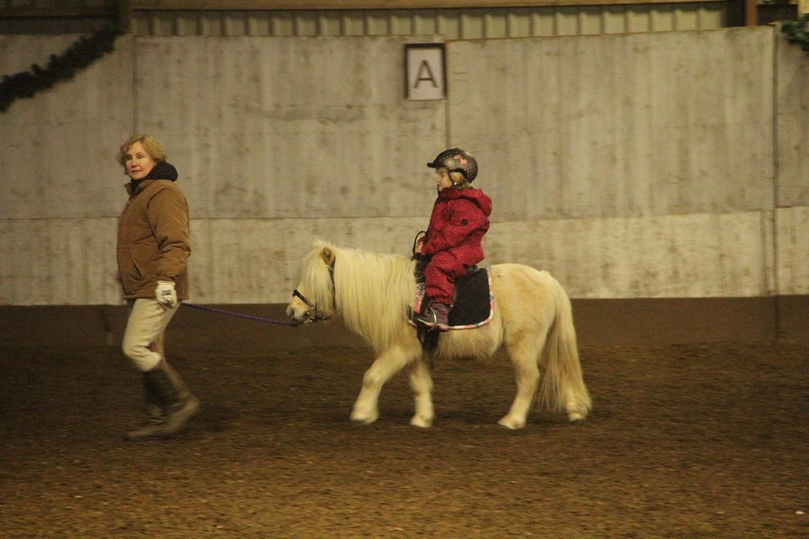 Shetlænder Aastrupgaars Pollux - Lille Bella der lige er ude og ride på ham :) billede 20