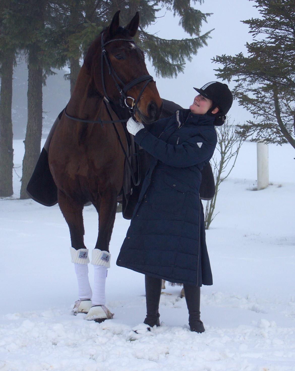 Anden særlig race Vilsbæk Flicka (Himmelhest) - et lille opstillingsbillede af min skønne hest og mig  billede 2