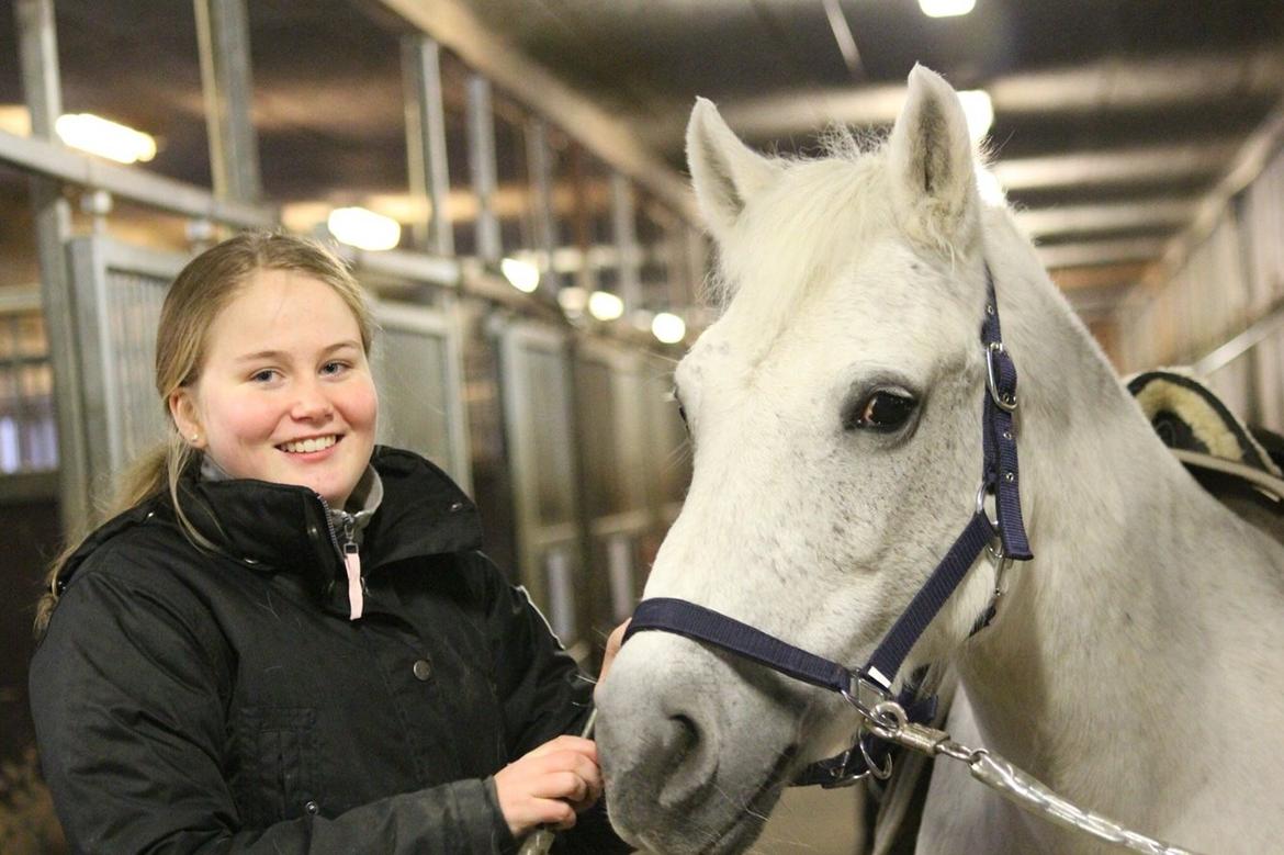 Anden særlig race Musse billede 14