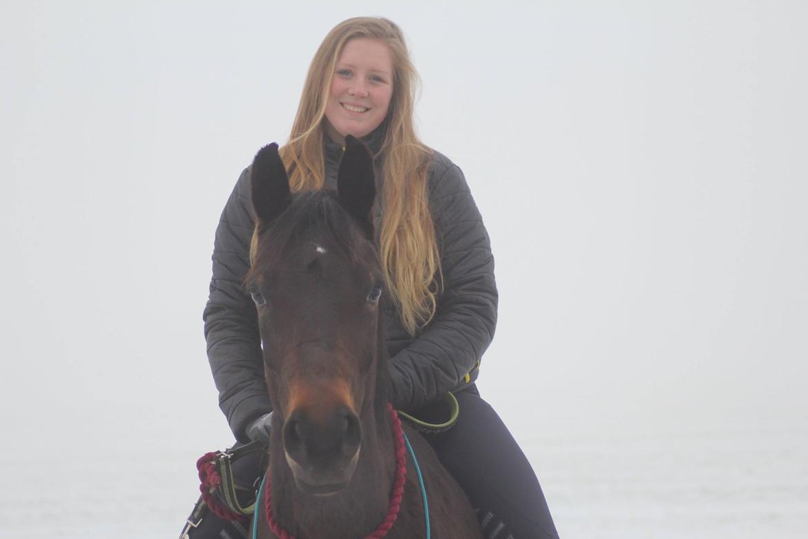 Anden særlig race Gipsy Girl billede 17