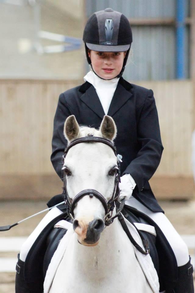 Welsh Mountain (sec A) Gammelgangs garp SOLGT billede 4