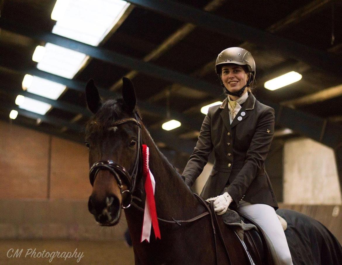 Dansk Varmblod Demi af Hedensminde billede 13