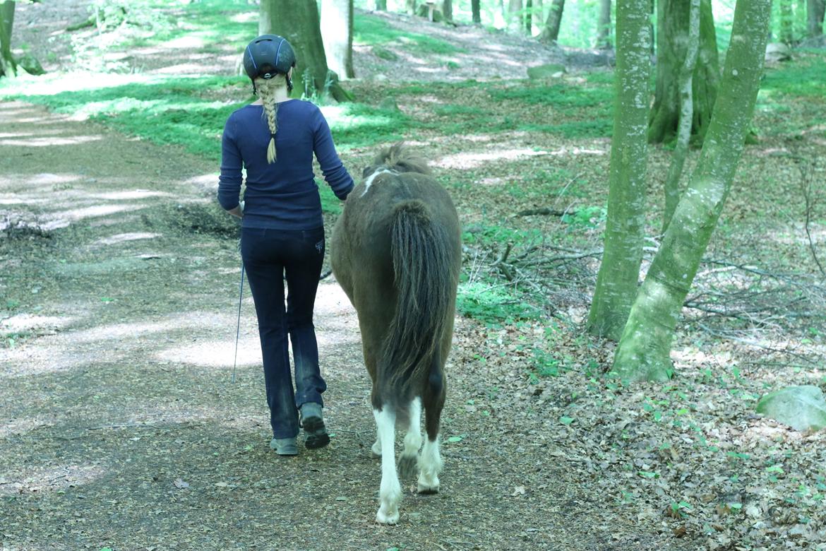 Islænder Ófeigur fra Bakkegården ll - Når enden er god er alting godt billede 16