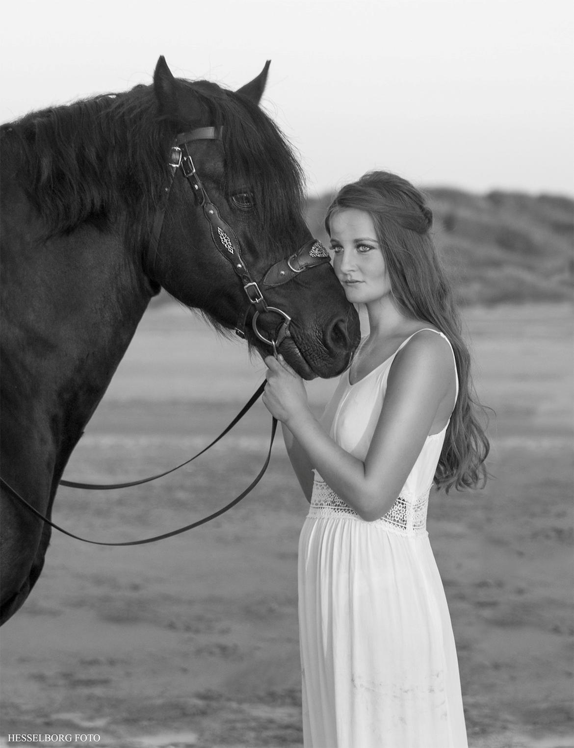 Welsh Cob (sec D) Ringside thomas *Avlshingst* - Thomas lånte ud som Model :) Foto: Hesselborg Foto  Model: Anna østergaard Filholm billede 3