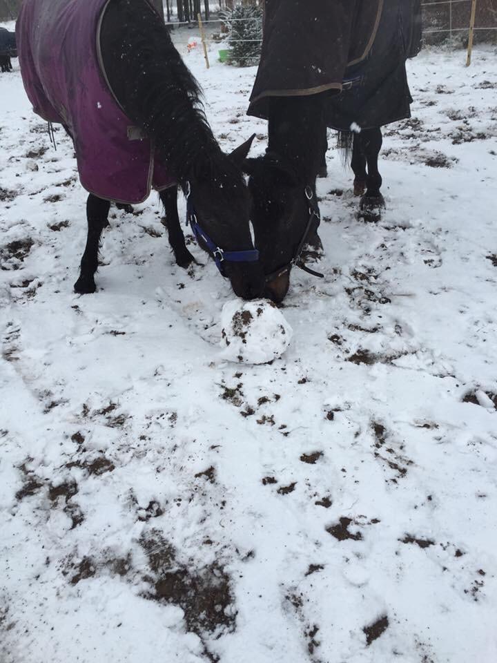 Frieser Vallentino De Chanel billede 11