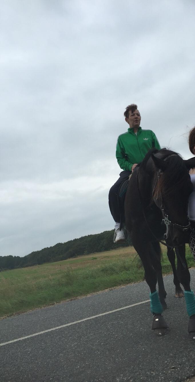 Traver I Wish Icould Fly ( evige græsmarker ) billede 10