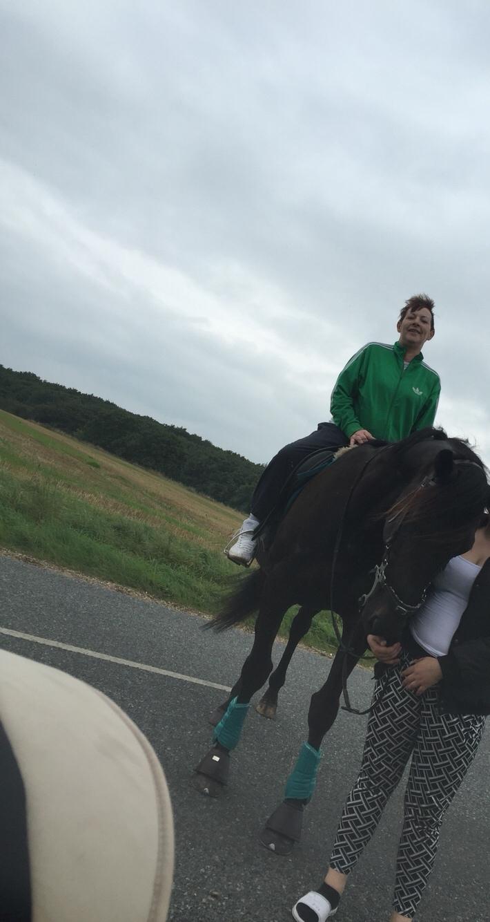 Traver I Wish Icould Fly ( evige græsmarker ) billede 11