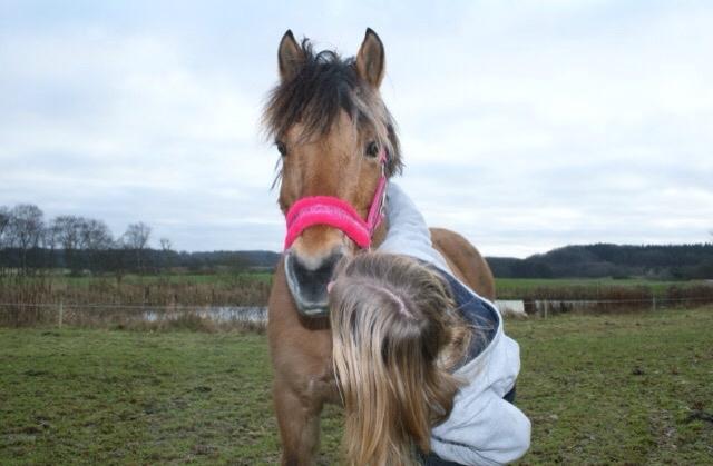 Anden særlig race Maude af mølleagergård billede 14