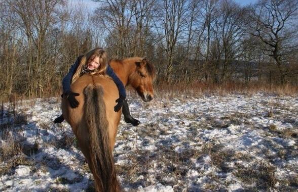 Anden særlig race Maude af mølleagergård billede 12