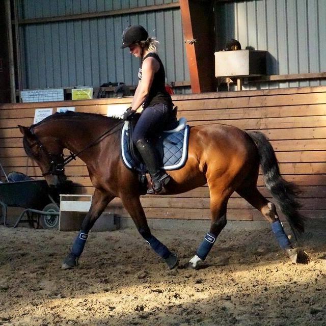 DSP Shamrocks Massa E. Cozzile  - Massa og hendes ejer, Signe. billede 8