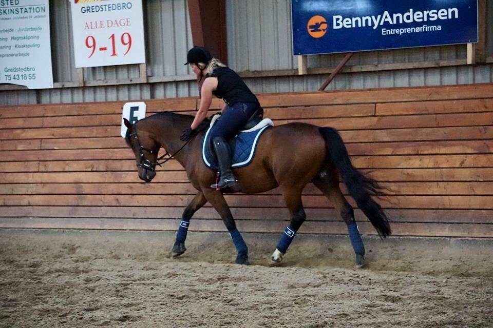 DSP Shamrocks Massa E. Cozzile  - Massa og hendes ejer, Signe. billede 5