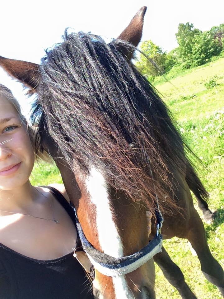 Anden særlig race Kessler billede 2