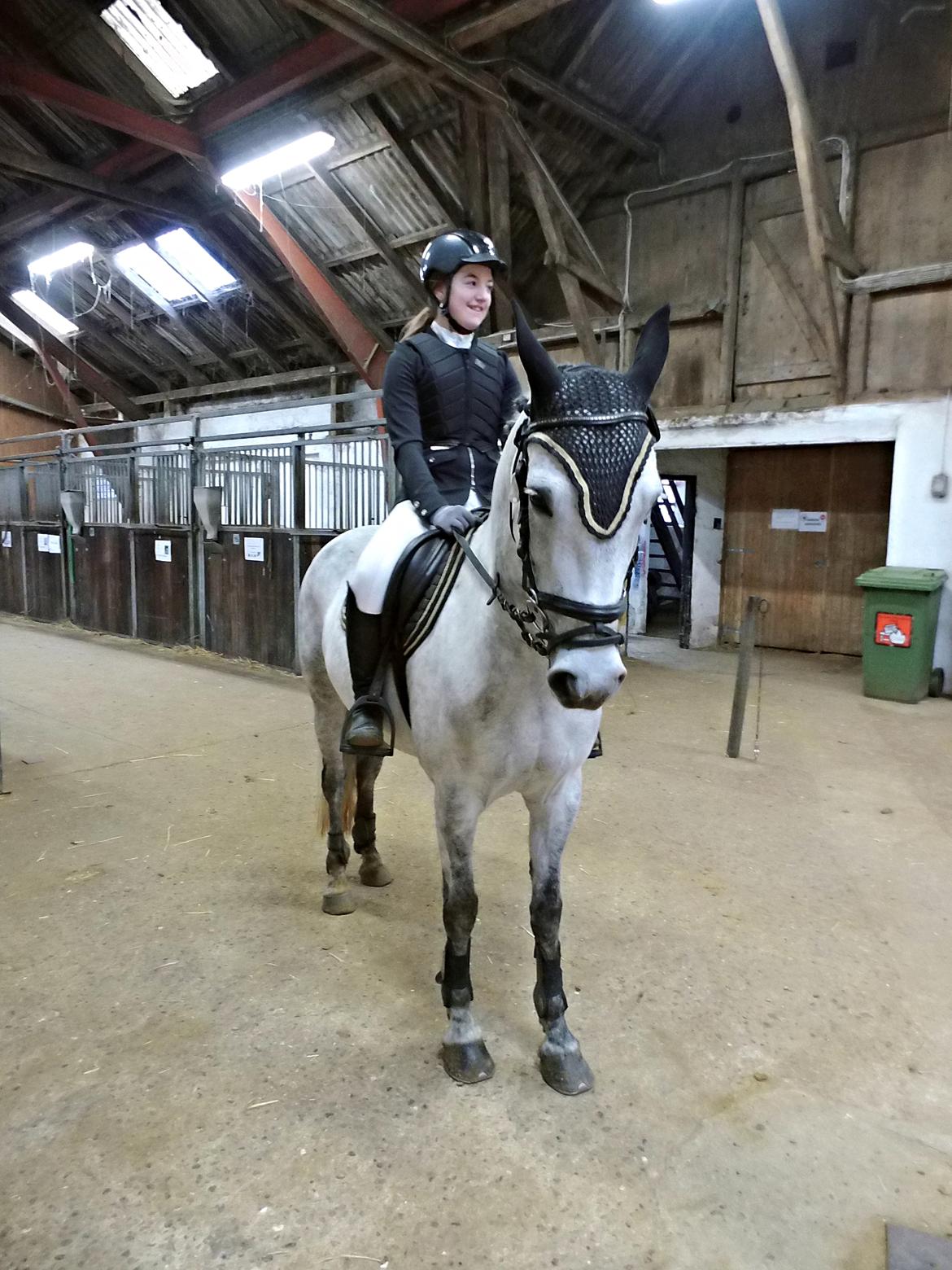 Anden særlig race Karisma billede 9