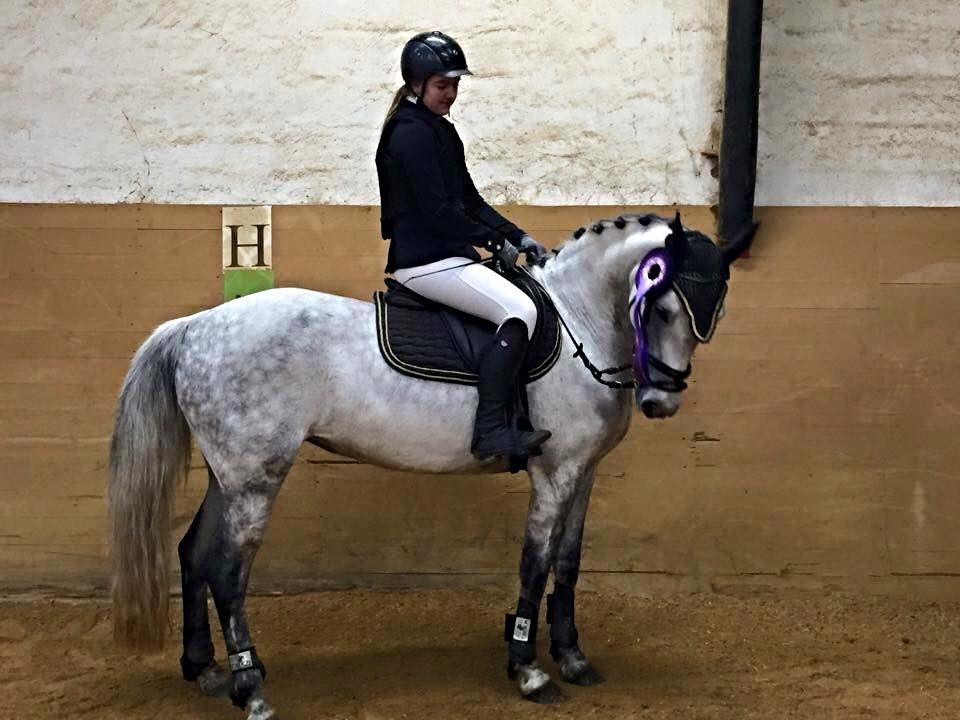 Anden særlig race Karisma billede 2