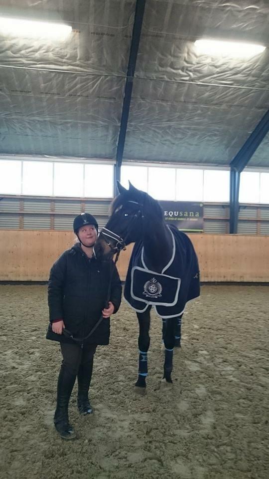 Oldenborg Another one 2 (Dundee) - han er SÅ dejlig😍❤️ billede 5