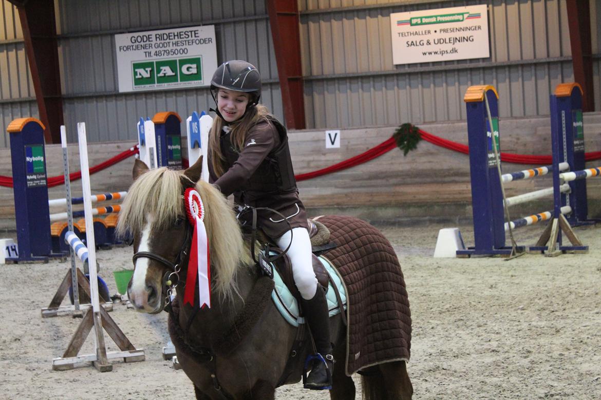 Anden særlig race Laban - Fra mit sidste pony stævne! Efter den sidste af mange ar vores æresrunder, denne pony kunne ikke havde været en bedre makker<3 billede 8