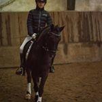 Dartmoor Phoibos apollon billede 18