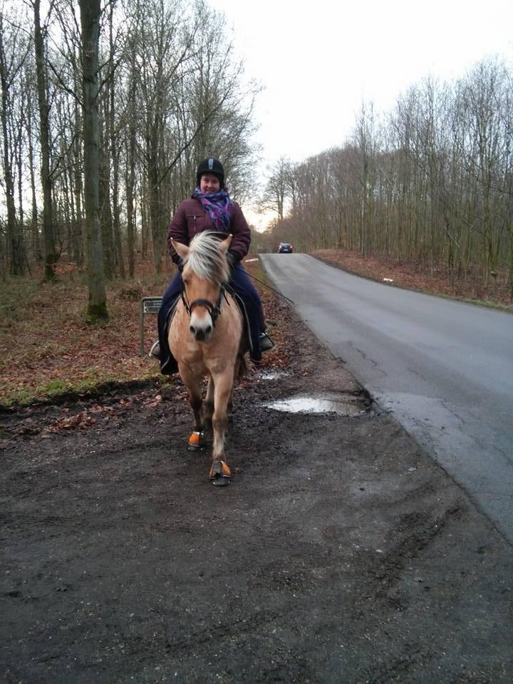 Fjordhest Shavanna  - Shavanna og jeg :) billede 15