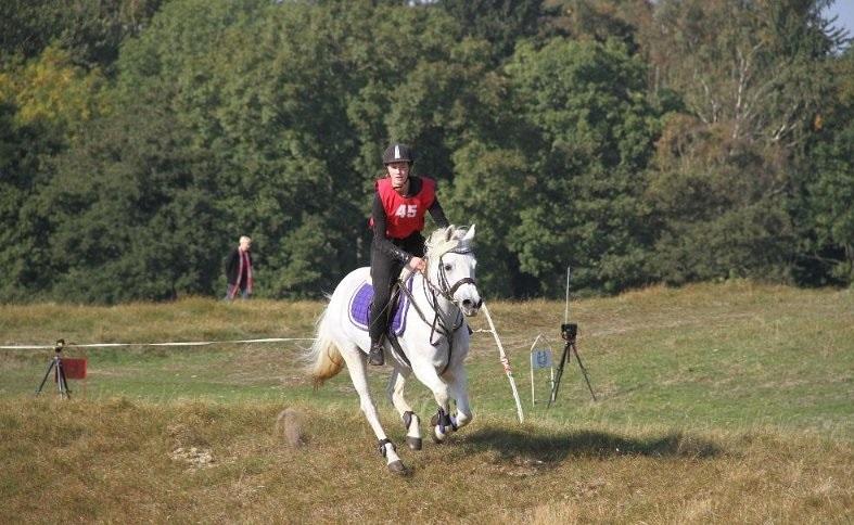 Connemara Paradisets jolene - BM terræn 2015 billede 14