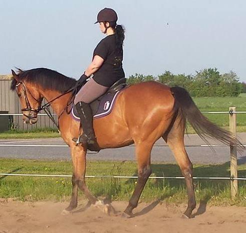 Fuldblod (XX) Final Answer (Aleksander) billede 5