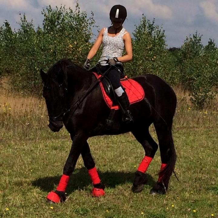 Frieser Claudia billede 1