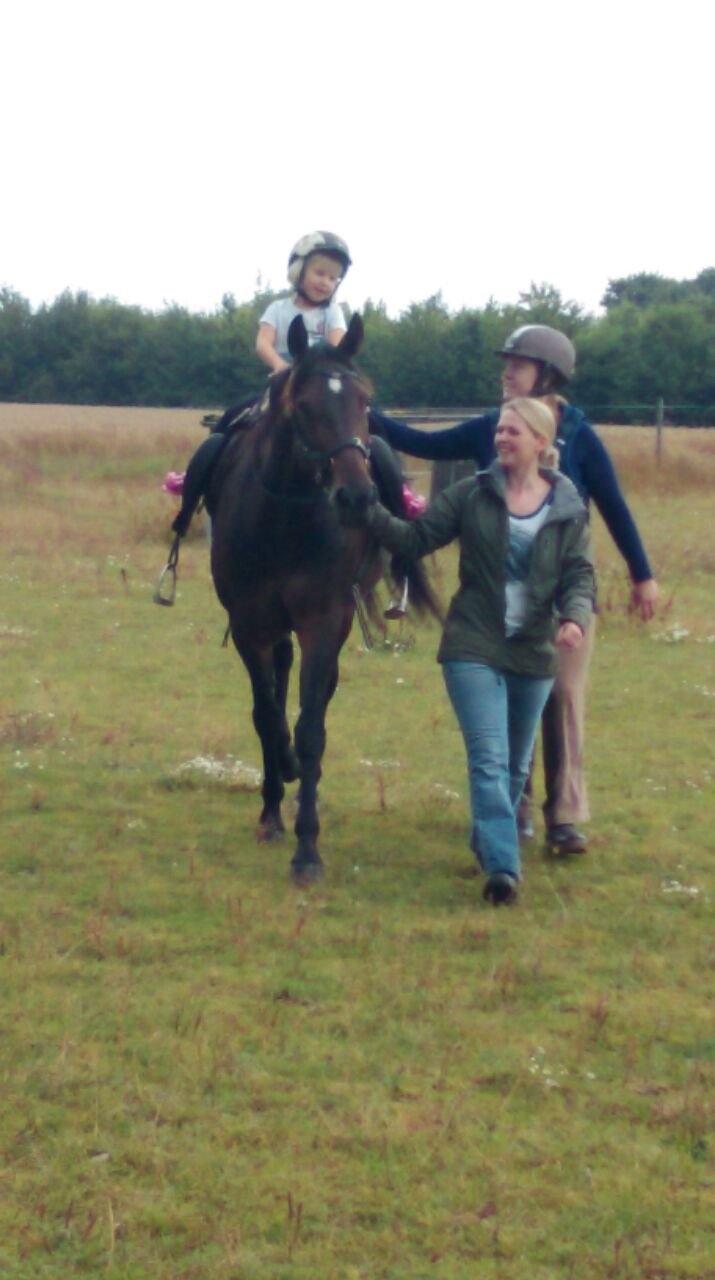 Traver Kalima joy joy. R.I.P - billedet er fra da jeg er oppe og se på hende første gang. billede 7