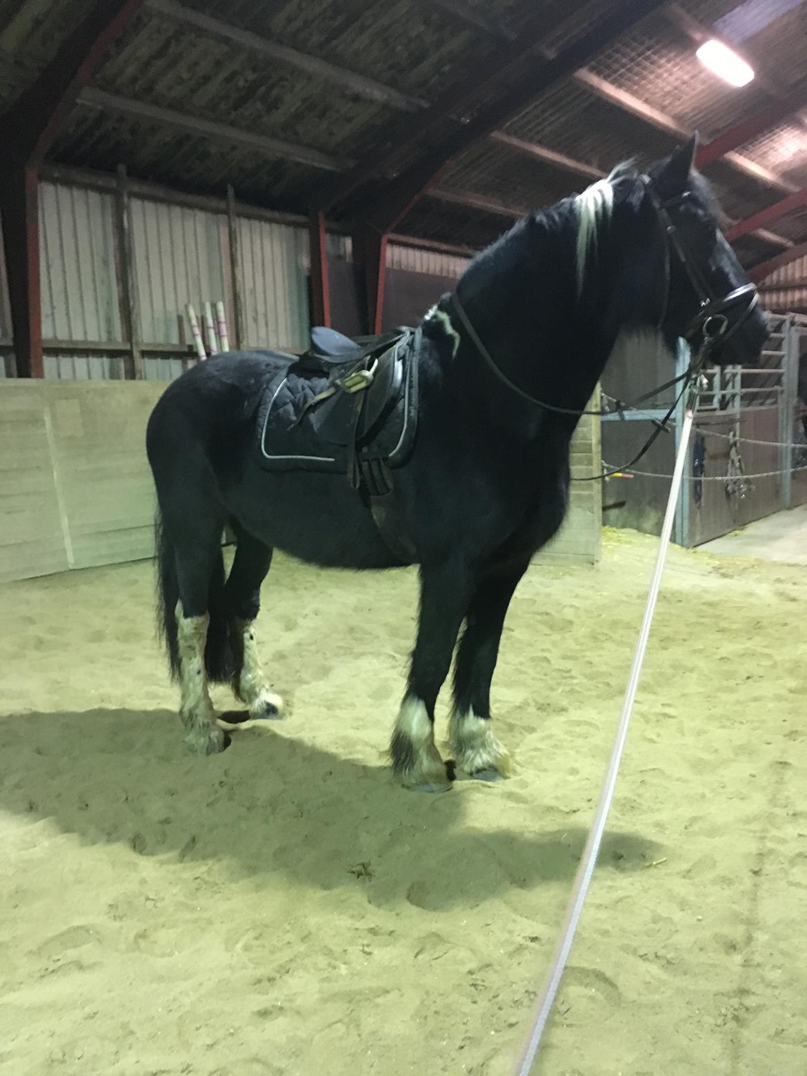 Frieser Afroditte billede 4