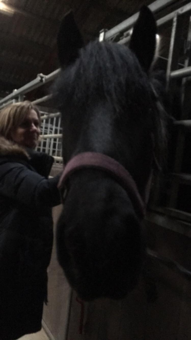 Frieser Afroditte billede 6