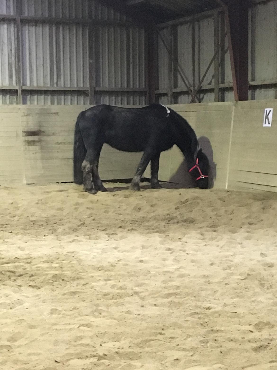 Frieser Afroditte billede 7