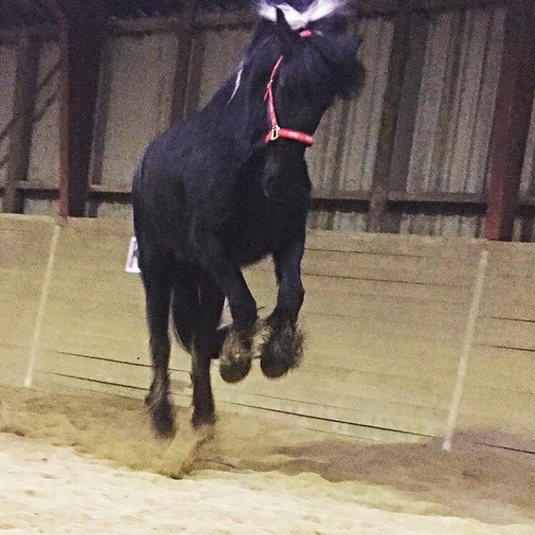 Frieser Afroditte billede 2