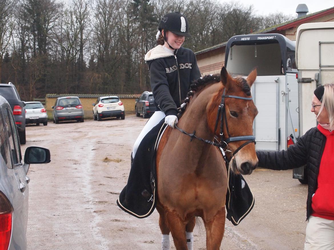 Connemara Trolderik billede 1