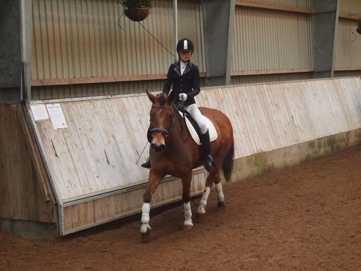 Connemara Trolderik billede 17