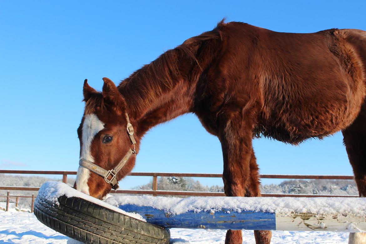 Paint Radicalackoflace billede 5