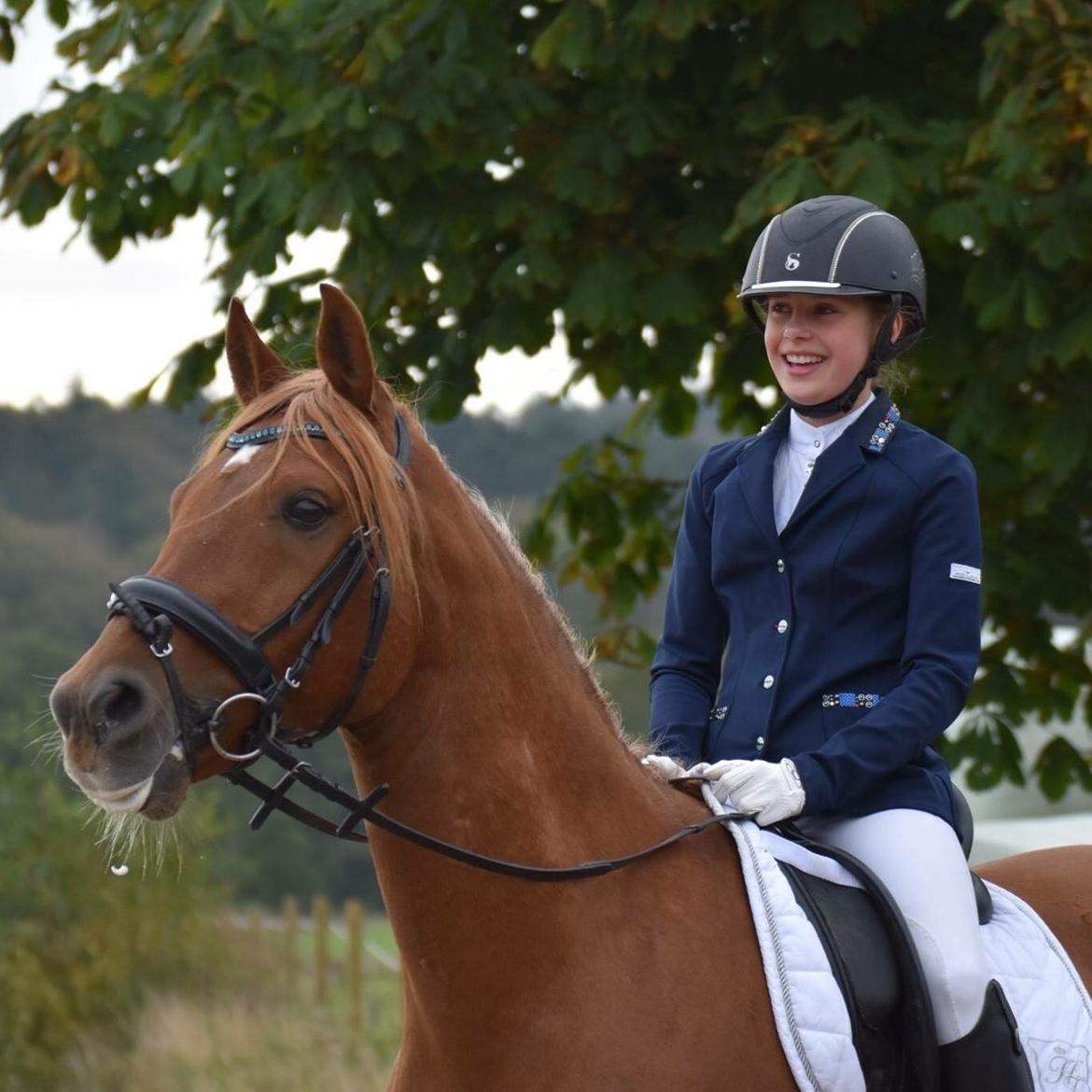 Anden særlig race Marco Polo<3 billede 11