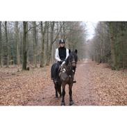 Anden særlig race Shakira