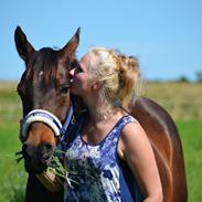 DSP Epos's Royal Classic 