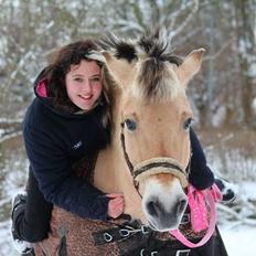 Fjordhest Sif (pony) ¤my soulmate¤
