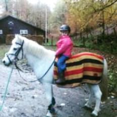 Anden særlig race Jumping Victory