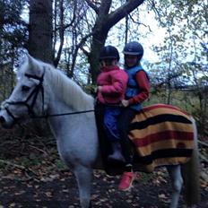 Anden særlig race Jumping Victory