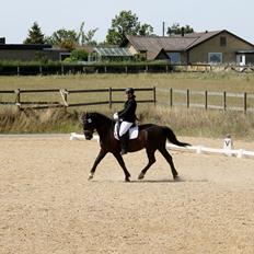 Oldenborg Emil Hornbæk