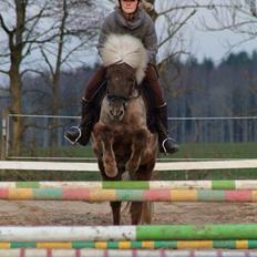 Islænder Embla torupgård