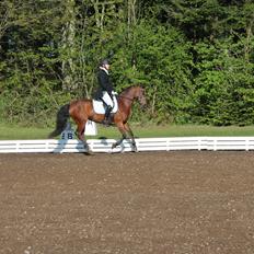 DSP Bæklunds Camikka