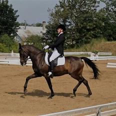 DSP Stidsbjergs champion